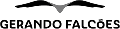 Gerando Falcões